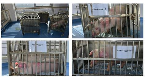 3522vip�־�����(�й�)�ɷ����޹�˾-Official website